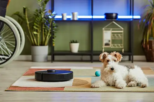Can I Take a Robot Vacuum cleaner on a Plane