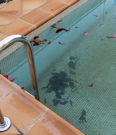 Cordless Pool Cleaning Robot