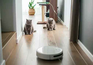Do Robot Vacuums Need WiFi?