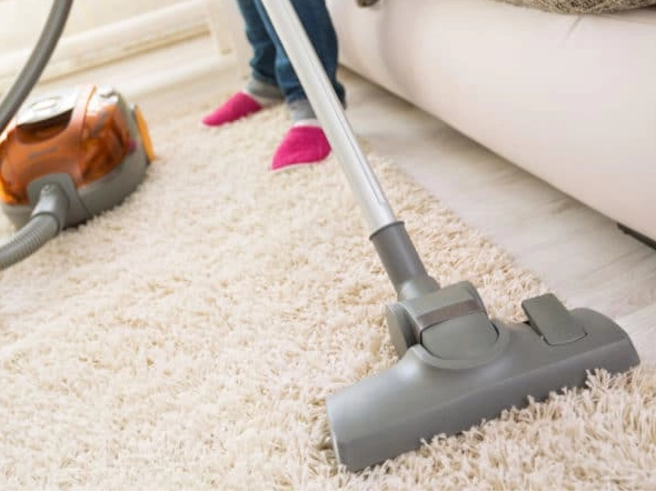 Choosing the Right Vacuum Cleaner for Fleas