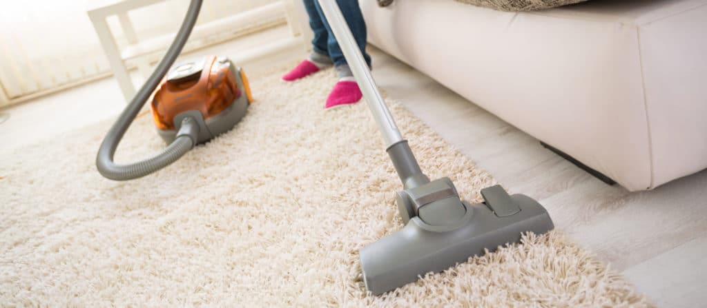 vacuum-rug-for-flea-pest-control-moxie-1024x447-1.jpg