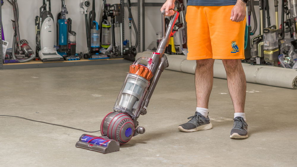 Dyson Ball Animal 3 Extra Review - RTINGS.com